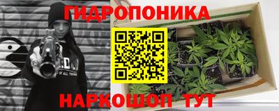 мдпв Усть-Илимск